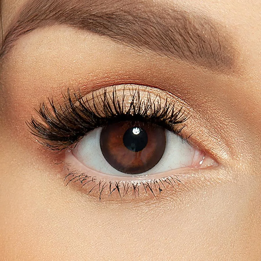 ليالا كونتور دازل بلاك عبوة من 10 عدسات يومية
